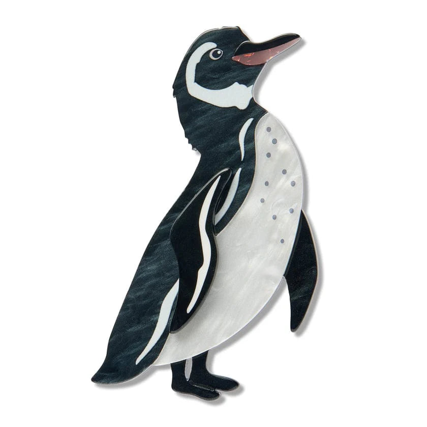 Erstwilder Brooch The Rarest Kind Galapagos Penguin