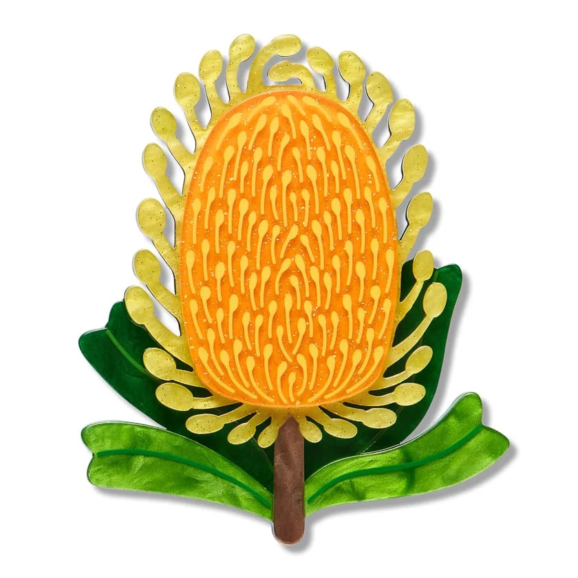 Erstwilder Royal Botanic Gardens Victoria Brooch Mountain Banksia
