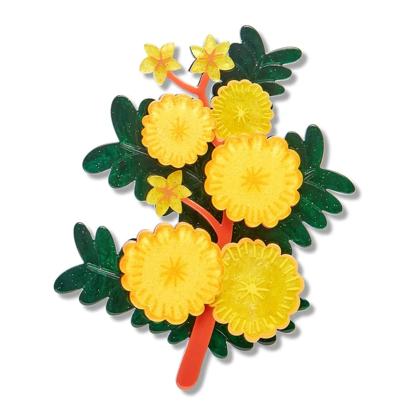 Erstwilder Royal Botanic Gardens Victoria Brooch Sunshine Wattle