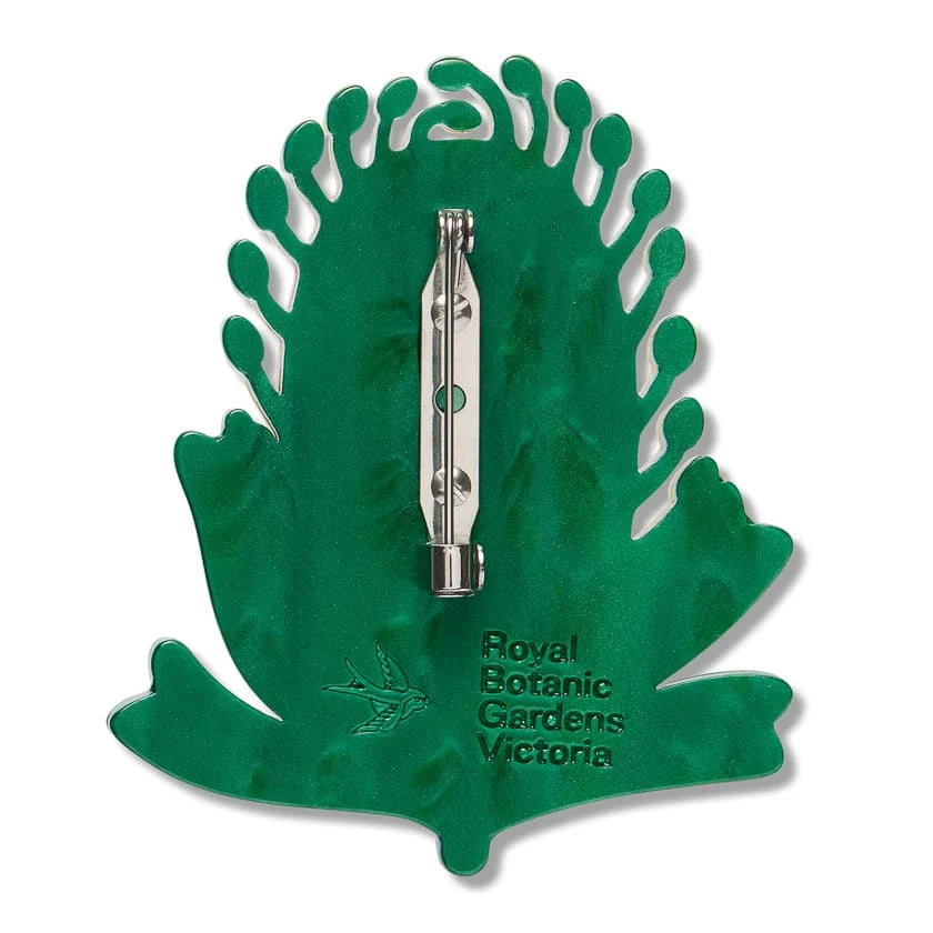 Erstwilder Royal Botanic Gardens Victoria Brooch Mountain Banksia