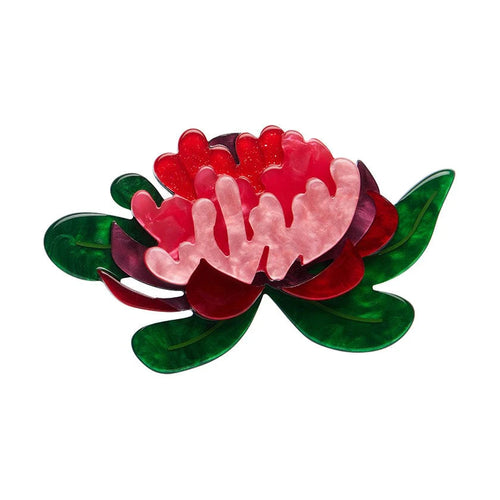 Erstwilder Brooch Australiana Seen From Afar Waratah