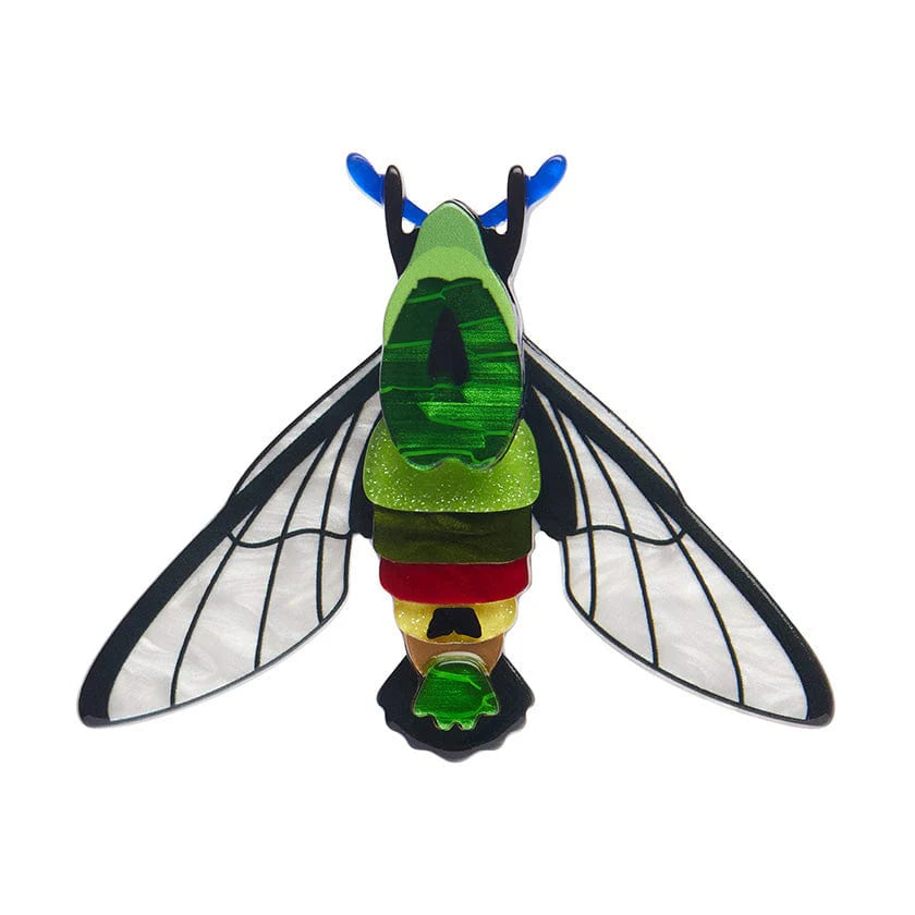 Erstwilder Brooch Australiana Glimmer The Hawk Moth