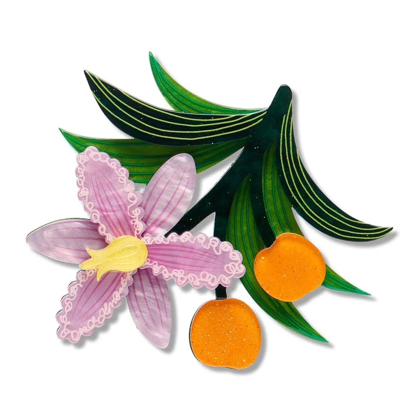 Erstwilder Royal Botanic Gardens Victoria Brooch Wombat Berry