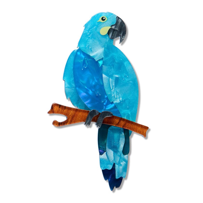 Erstwilder Brooch The Rarest Kind Glaucous Macaw
